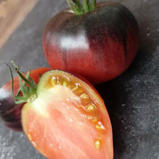 Tomate coeur de boeuf bleue