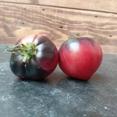 Tomate coeur de boeuf bleue Tomate coeur de boeuf bleue
