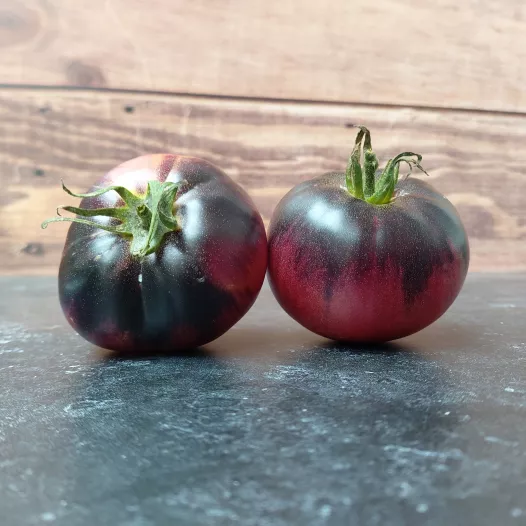 Tomate coeur de boeuf bleue