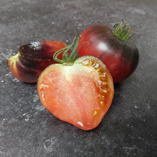 Tomate coeur de boeuf bleue