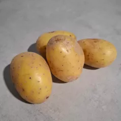 Aardappel Bernadette - 1kg