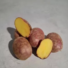 Aardappel Valéry - 1kg