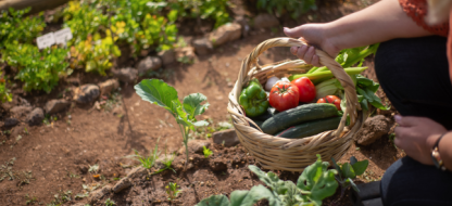 10 hardnekkige misvattingen over boerenzaden: tijd om ze te doorprikken