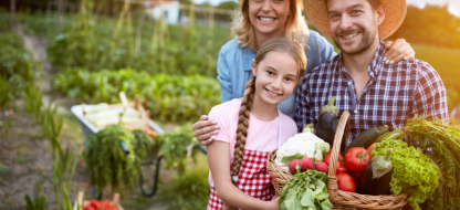 Pourquoi choisir des semences bio pour votre potager ?