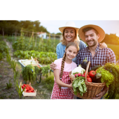 Pourquoi choisir des semences bio pour votre potager ?