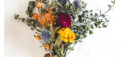 Fleurs à sécher : semer, récolter et composer ses bouquets durables