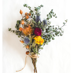 Fleurs à sécher : semer, récolter et composer ses bouquets durables