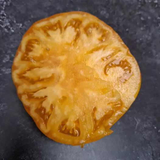 Tomate Pamplemousse du Grand Père - Semailles