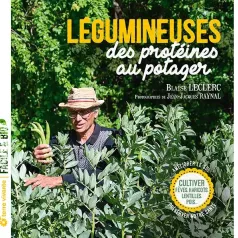 Légumineuses, des protéines au potager