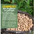 Légumineuses, des protéines au potager