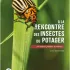 A la rencontre des insectes du potager
