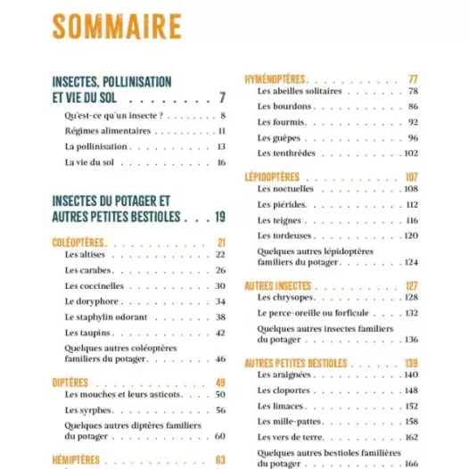 A la rencontre des insectes du potager