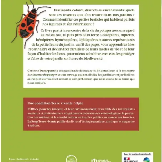 A la rencontre des insectes du potager