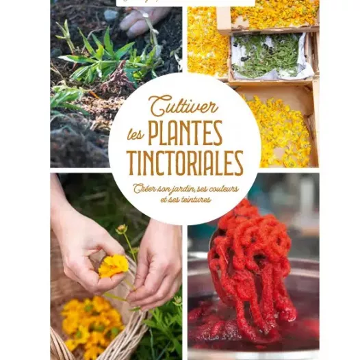 Cultiver les plantes tinctoriales
