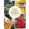 Cultiver les plantes tinctoriales