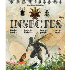 Insectes