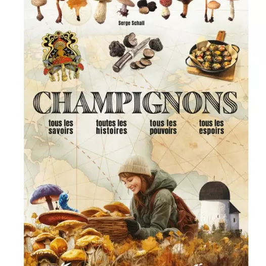 Champignons