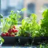 Kit semences : Mon bac potager graines en main