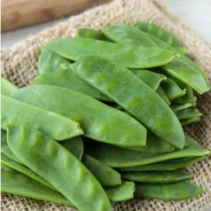 Pois nain mangetout Sugar Daddy