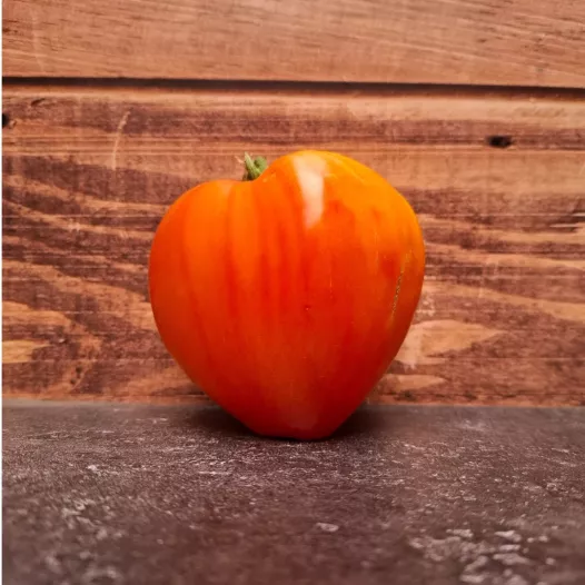 Tomate coeur de boeuf Russian 117 bio - Semailles