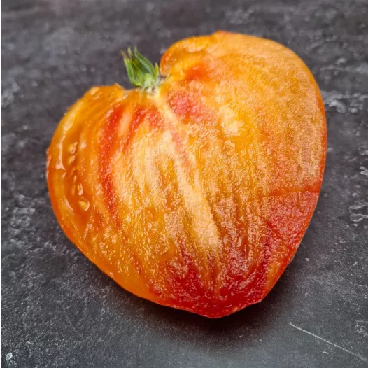 Tomate coeur de boeuf Russian 117 bio - Semailles