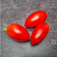 Tomate Prolifique de Falisolle