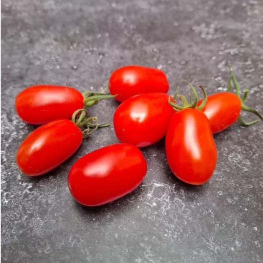 Tomate Datterino