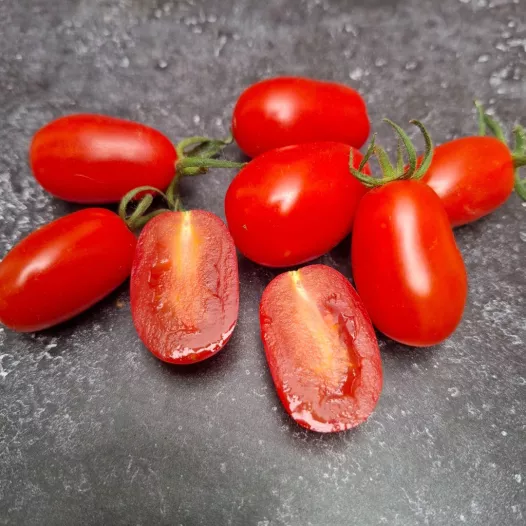 Tomate Datterino