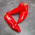 Piment d'Espelette bio - Semailles
