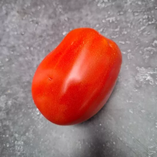 Tomate Pera D'Abruzzo