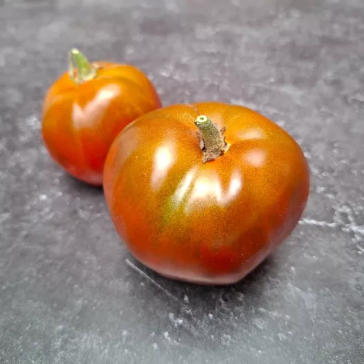 Tomate Noire Russe Charbonneuse