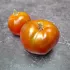 Tomate Noire Russe Charbonneuse