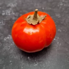Aubergine Rosso di Napoli