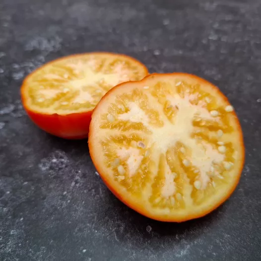 Aubergine Rosso di Napoli