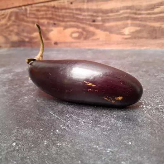 Aubergine Astrakom