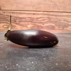 Aubergine d'extérieur Astrakom