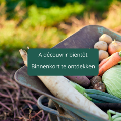 Boite de récolte de semences