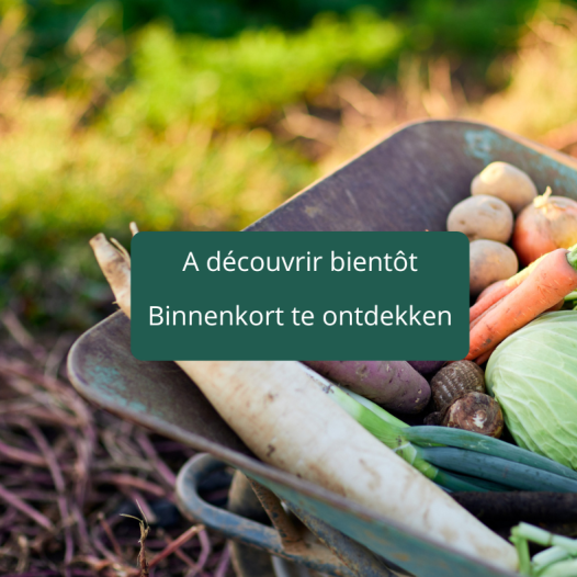 Boite de récolte de semences