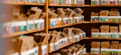 Wat ga ik zaaien in de moestuin?