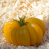 Tomate Jaune côtelée de Montlouis