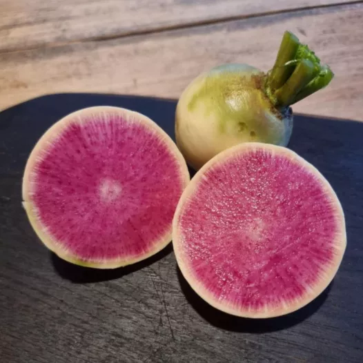 Winter-radijs red meat