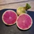 Radis d'hiver red meat