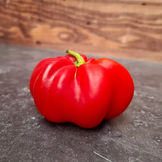 Poivron d'extérieur rond de Hongrie