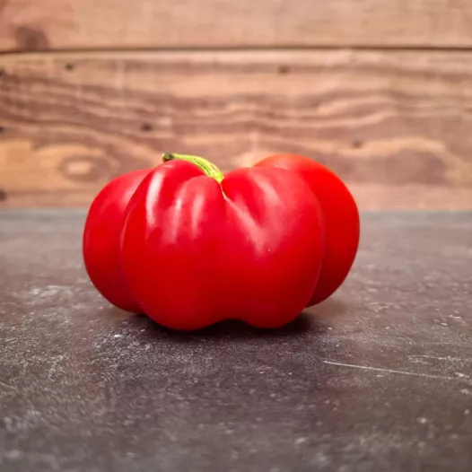 Poivron d'extérieur rond de Hongrie