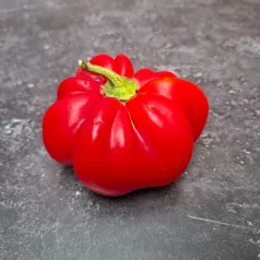 Poivron d'extérieur rond de Hongrie