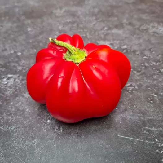 Poivron d'extérieur rond de Hongrie