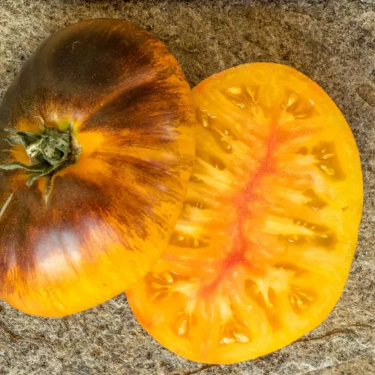 Tomate Alice's dream