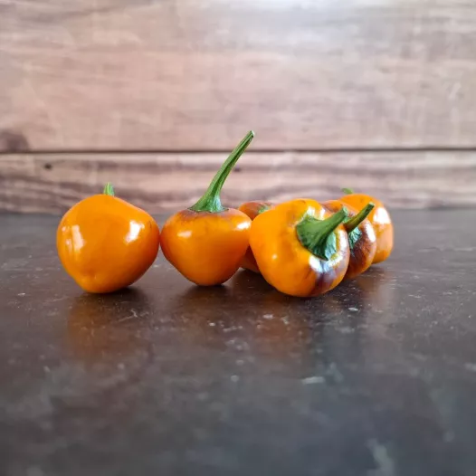 Piment Golden Nugget