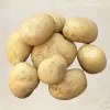 Pomme de terre Etincelle - 5kg