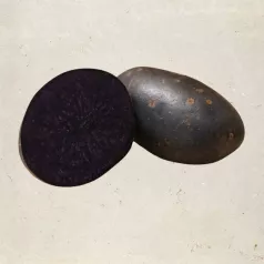 Aardappel Truffette - 5kg